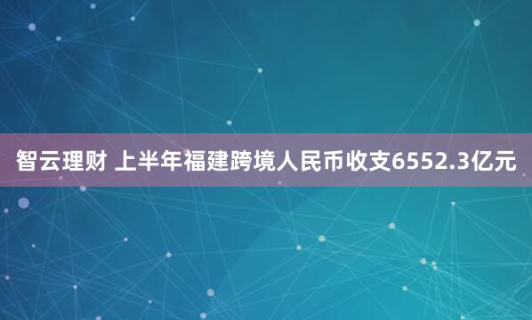 智云理财 上半年福建跨境人民币收支6552.3亿元