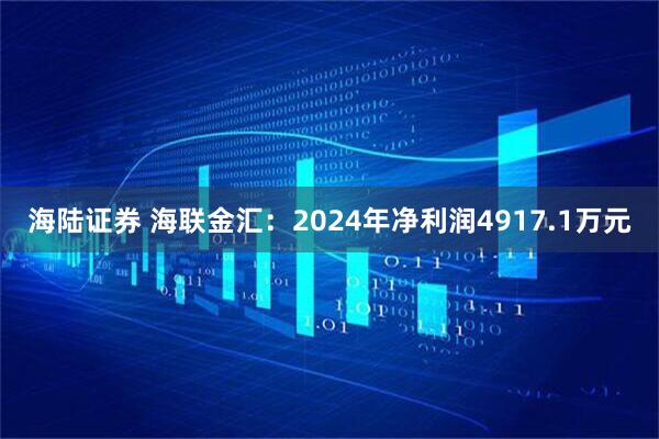 海陆证券 海联金汇：2024年净利润4917.1万元