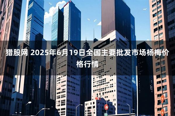 猎股网 2025年6月19日全国主要批发市场杨梅价格行情