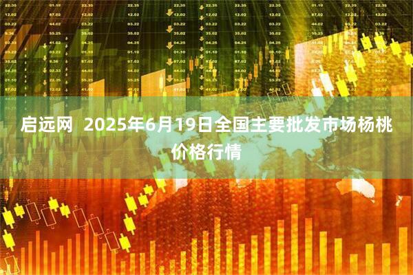 启远网 2025年6月19日全国主要批发市场杨桃价格行情