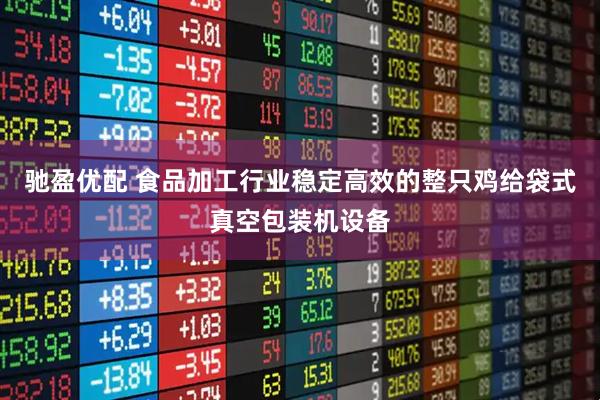 驰盈优配 食品加工行业稳定高效的整只鸡给袋式真空包装机设备